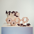 Honeycomb Wooden Toilet Paper Holder